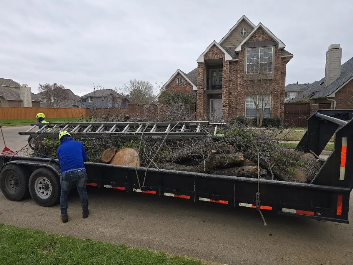 Expert Lot Clearing with proper safety equipment in Isabel